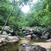 Review photo of Hawn State Park Campground by Erica  P., July 3, 2018