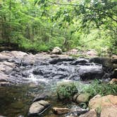 Review photo of Hawn State Park Campground by Erica  P., July 3, 2018