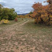 Review photo of Madden Peak Road - Dispersed by noah , October 8, 2021