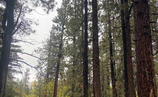 Lily K.'s photo at Pine Knot Campground near Big Bear Lake, CA