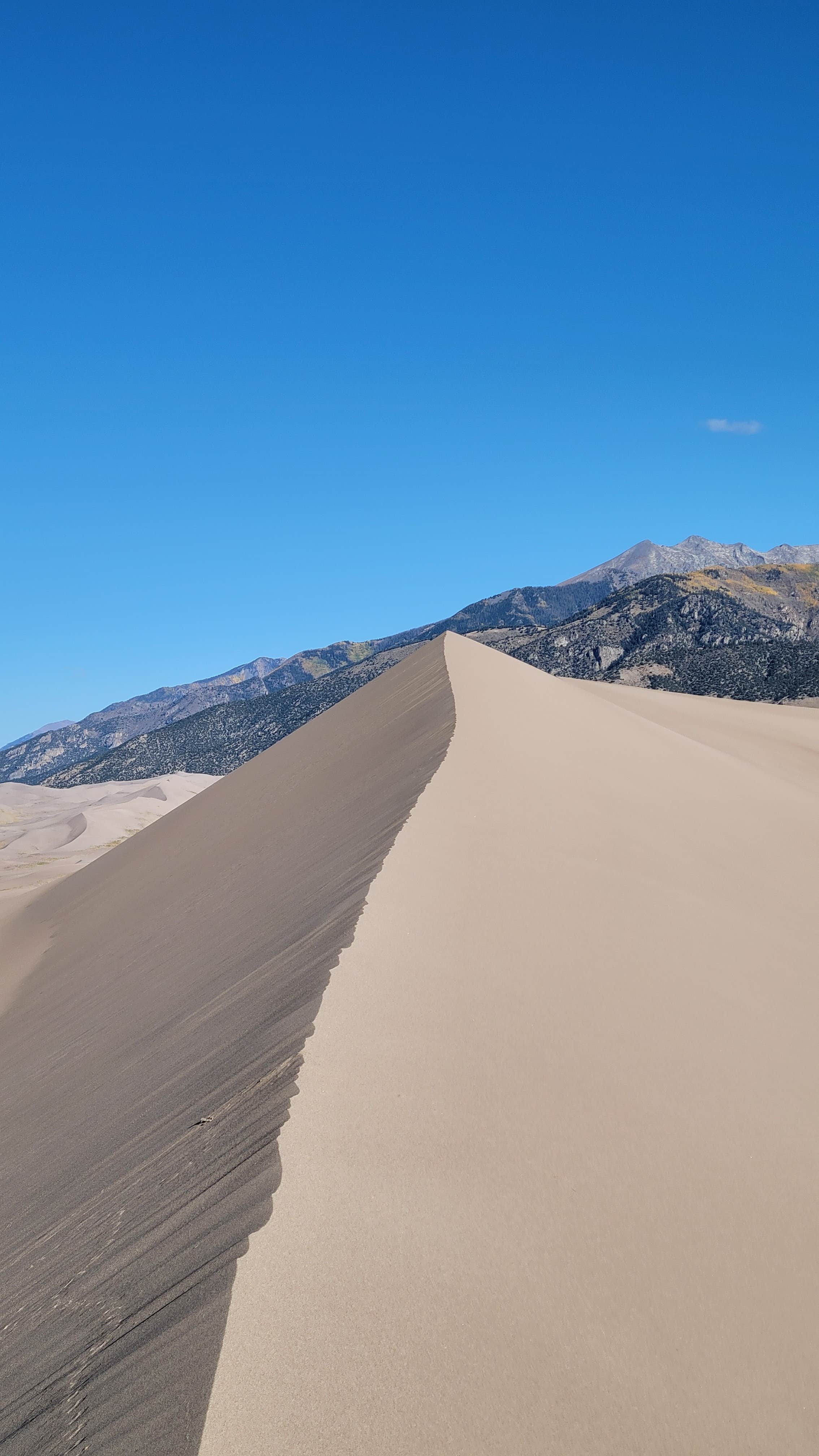 noah's photo of tent camping at The Dunefield — Great Sand Dunes National Park near Westcliffe, CO