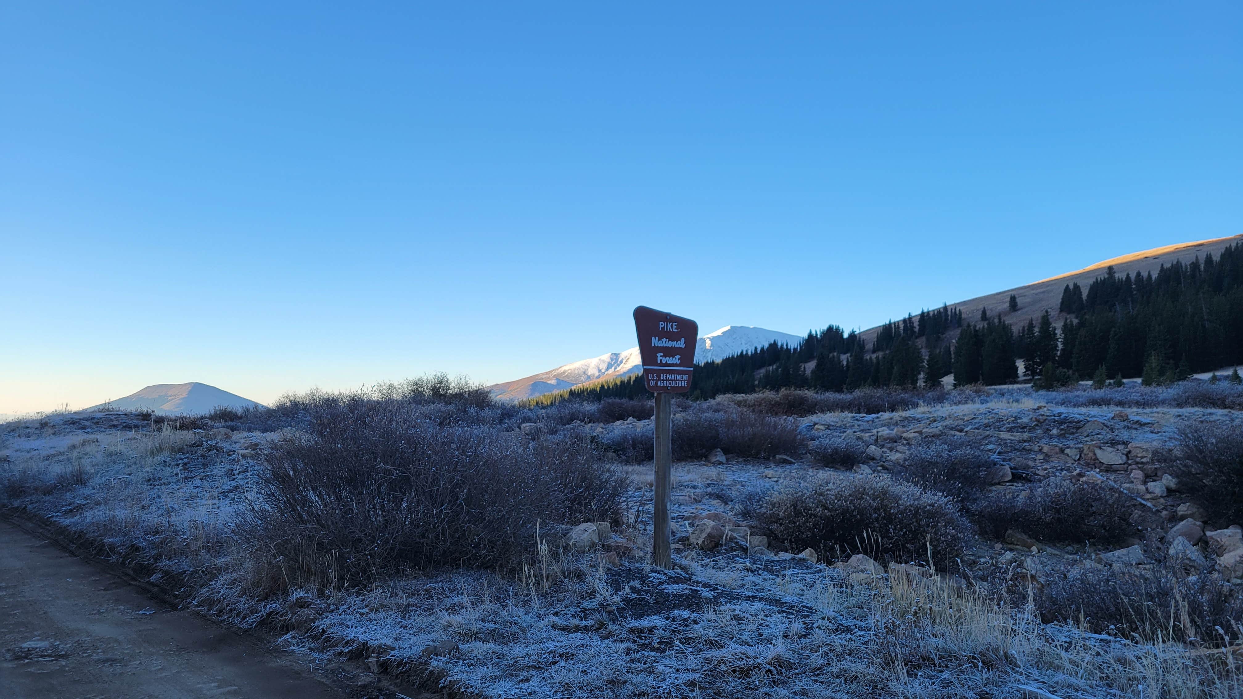 Camper submitted image from Boreas Pass Road Designated Dispersed Camping - 4