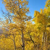 Review photo of Boreas Pass Road Designated Dispersed Camping by noah , October 8, 2021