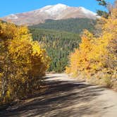 Review photo of Boreas Pass Road Designated Dispersed Camping by noah , October 8, 2021