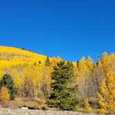 Review photo of Boreas Pass Road Designated Dispersed Camping by noah , October 8, 2021