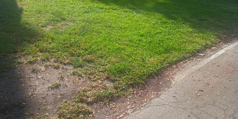 Camper submitted image from Fairplex RV Park