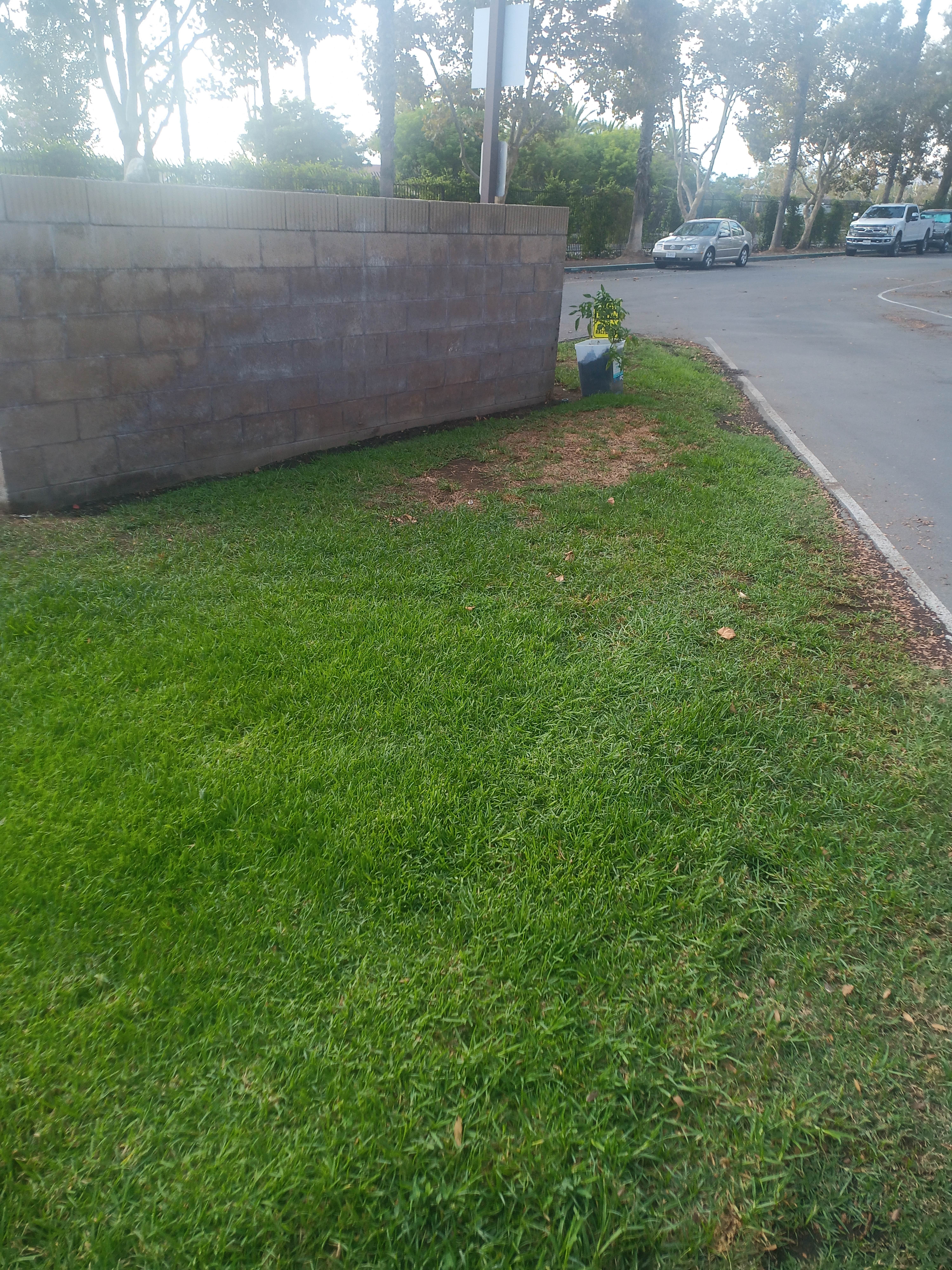 Camper-submitted photo at Fairplex RV Park near Mount Wilson, CA