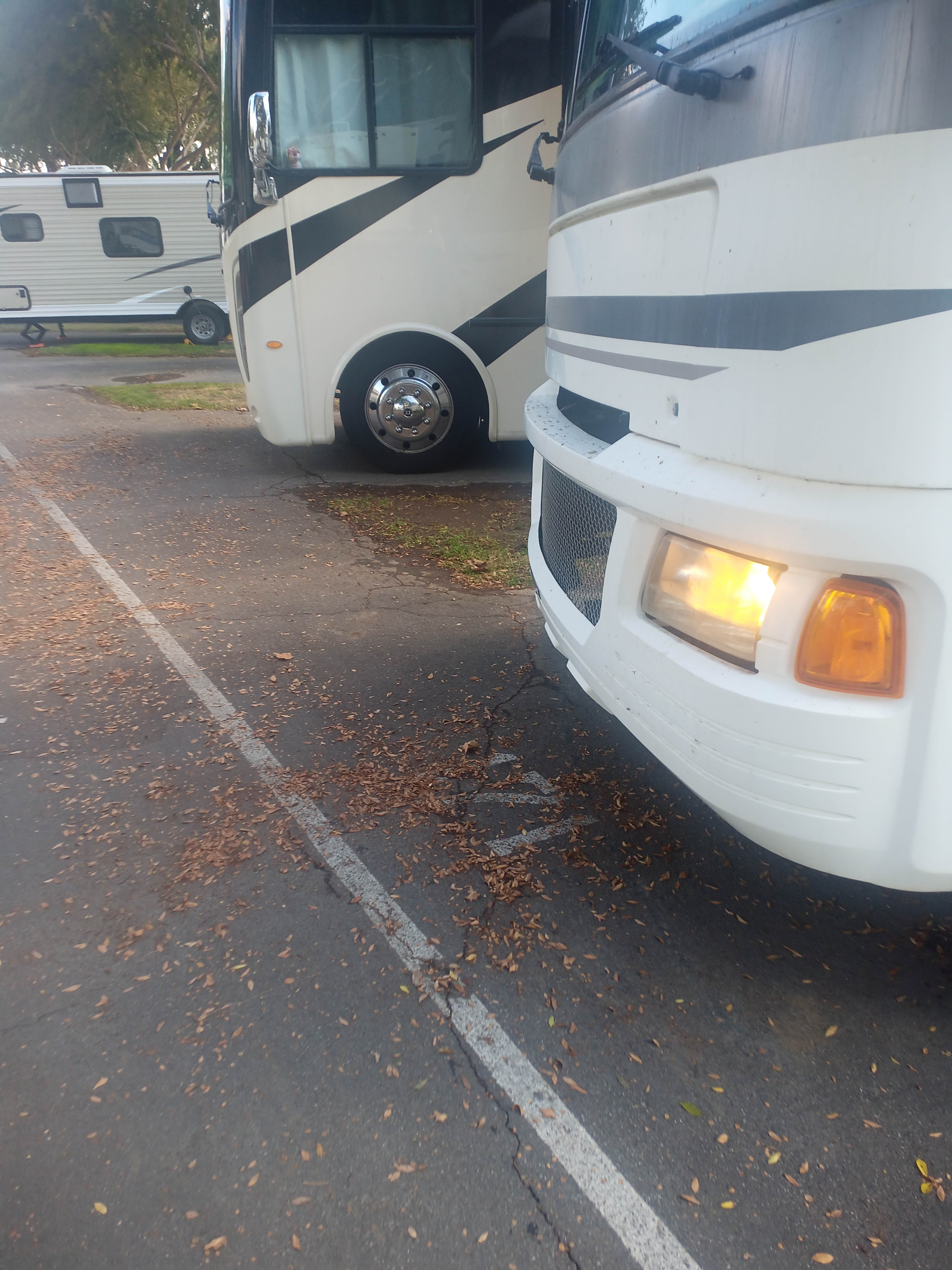 Camper submitted image from Fairplex RV Park - 4