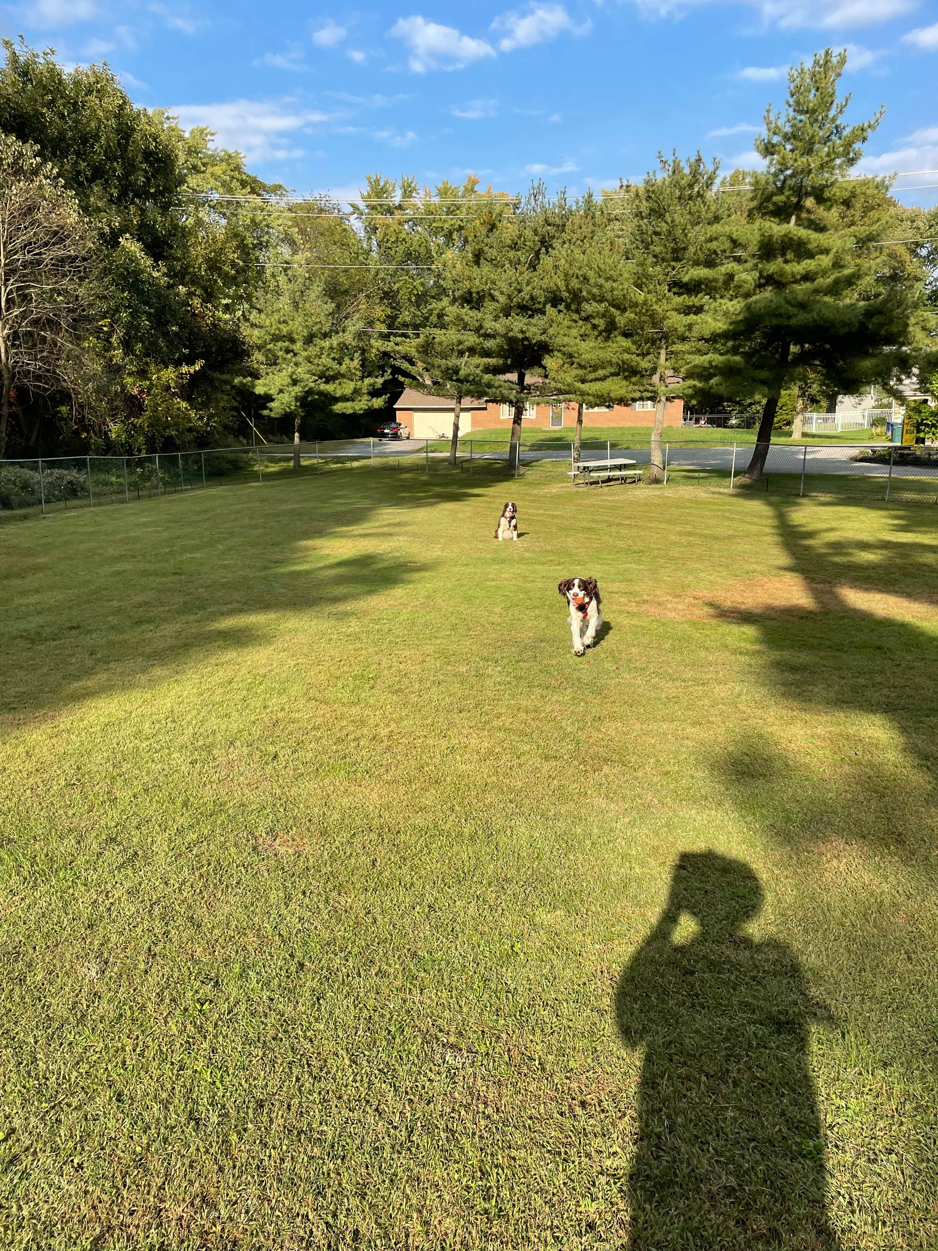 Joel R.'s photo of camping with pets at Philadelphia South/Clarksboro KOA near Wilmington, DE