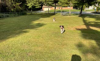 Joel R.'s photo of camping with pets at Philadelphia South/Clarksboro KOA near Newark, DE