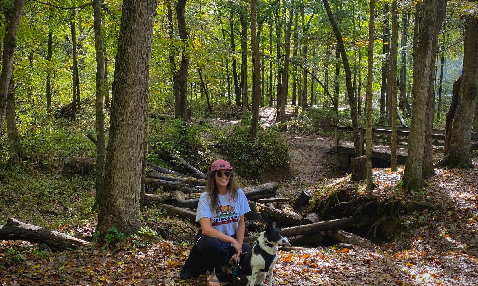 Starve Hollow State Rec Area Camping The Dyrt