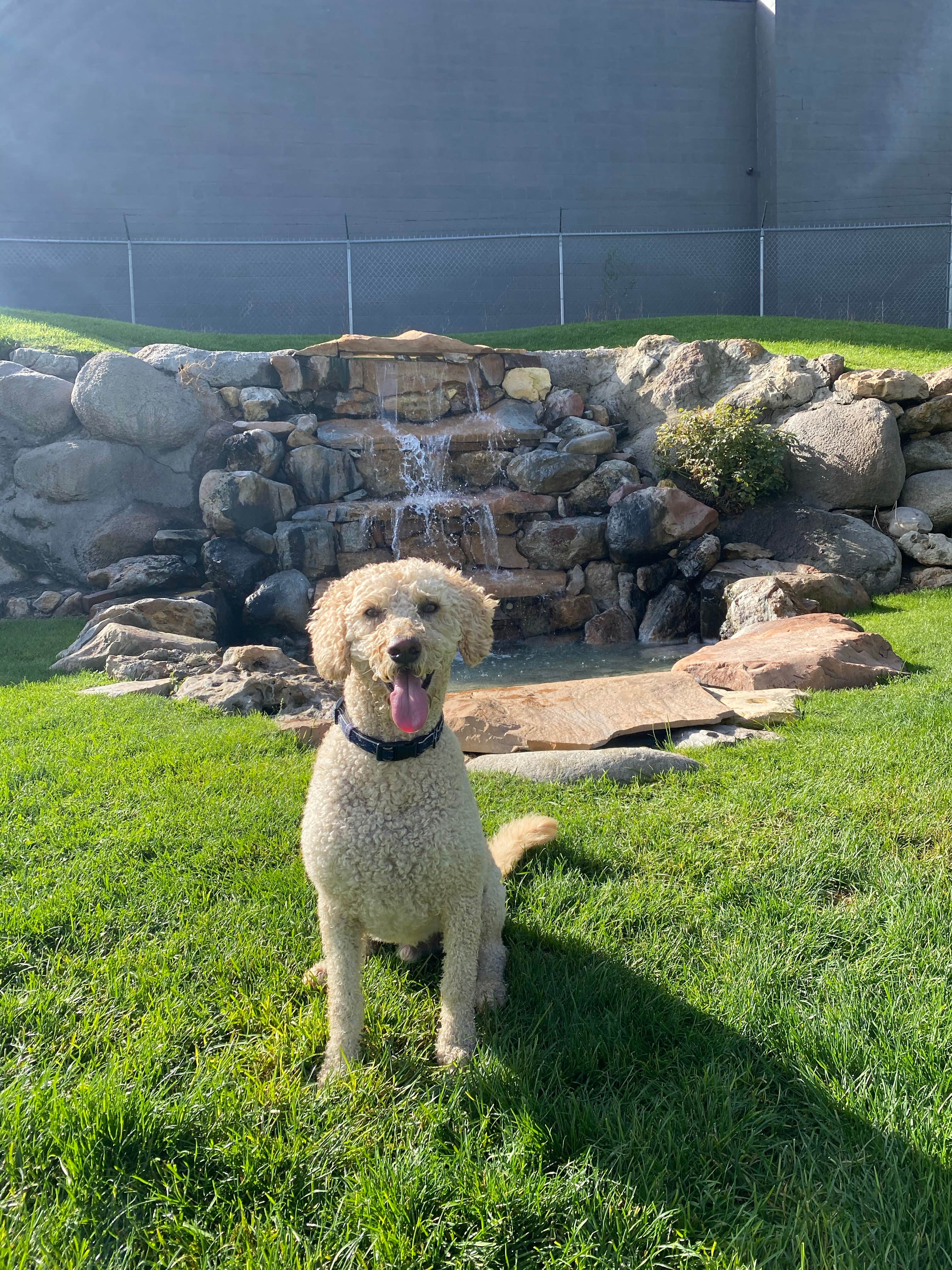 Donna H.'s photo of camping with pets at Mountain Shadows RV Park near South Salt Lake, UT