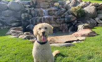 Donna H.'s photo of camping with pets at Mountain Shadows RV Park near Magna, UT