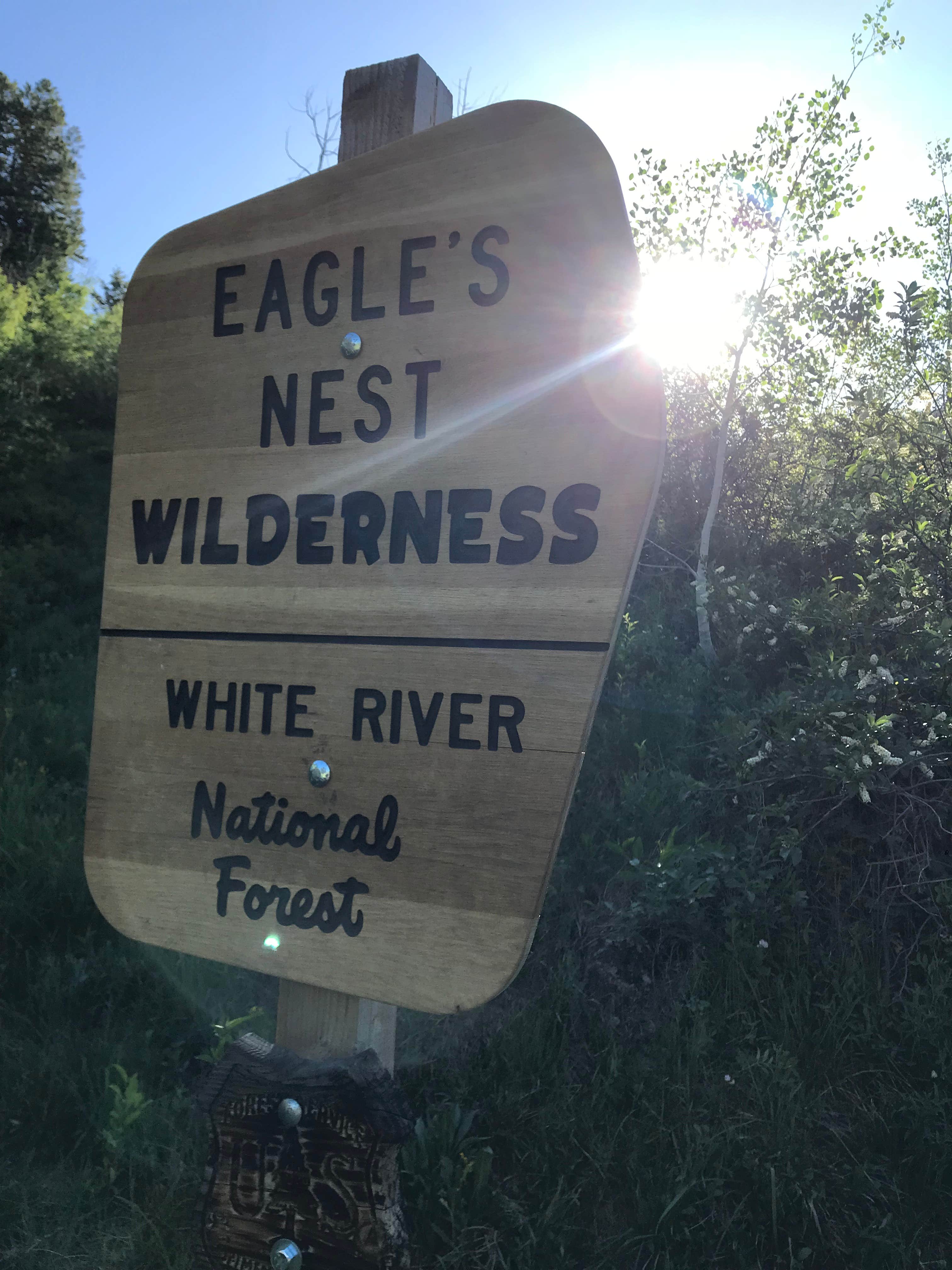Camper submitted image from Gore Creek Campground - 4