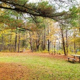 Review photo of Jay Cooke State Park Campground by Fred S., October 9, 2021