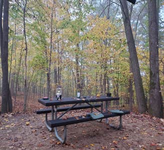 Camper-submitted photo from Minneiska Campground — Whitewater State Park