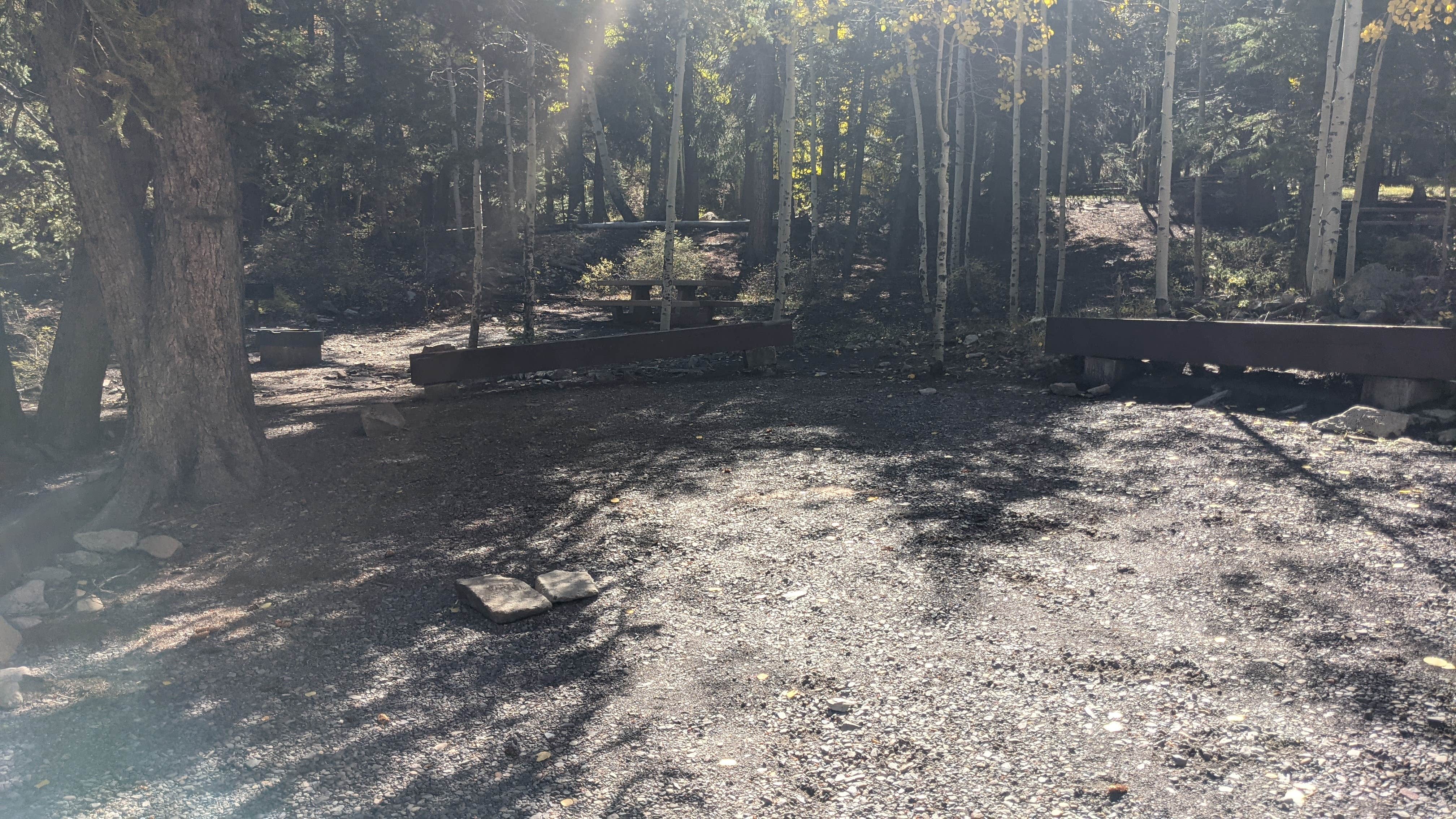 Camper-submitted photo at Lonesome Beaver Campground near Hanksville, UT