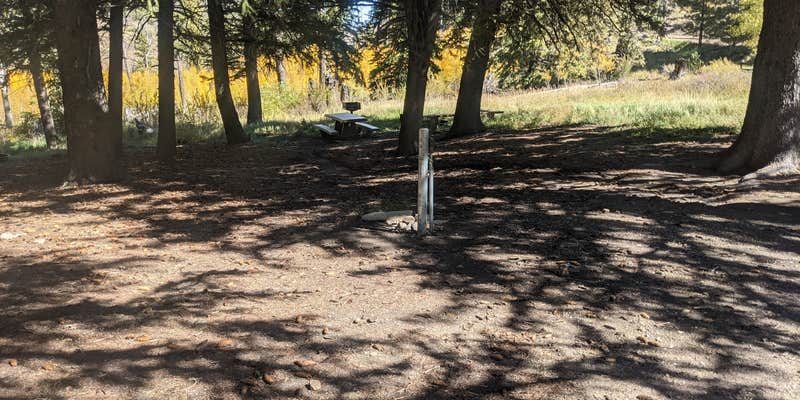 Camper submitted image from Dandelion Flat