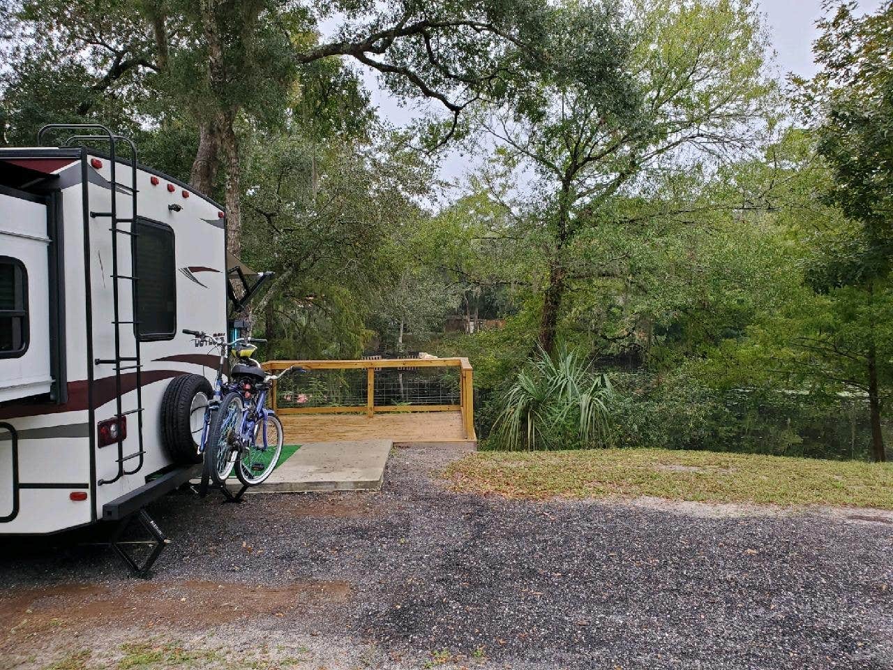 Camper submitted image from Suwannee River Bend RV Park - 4