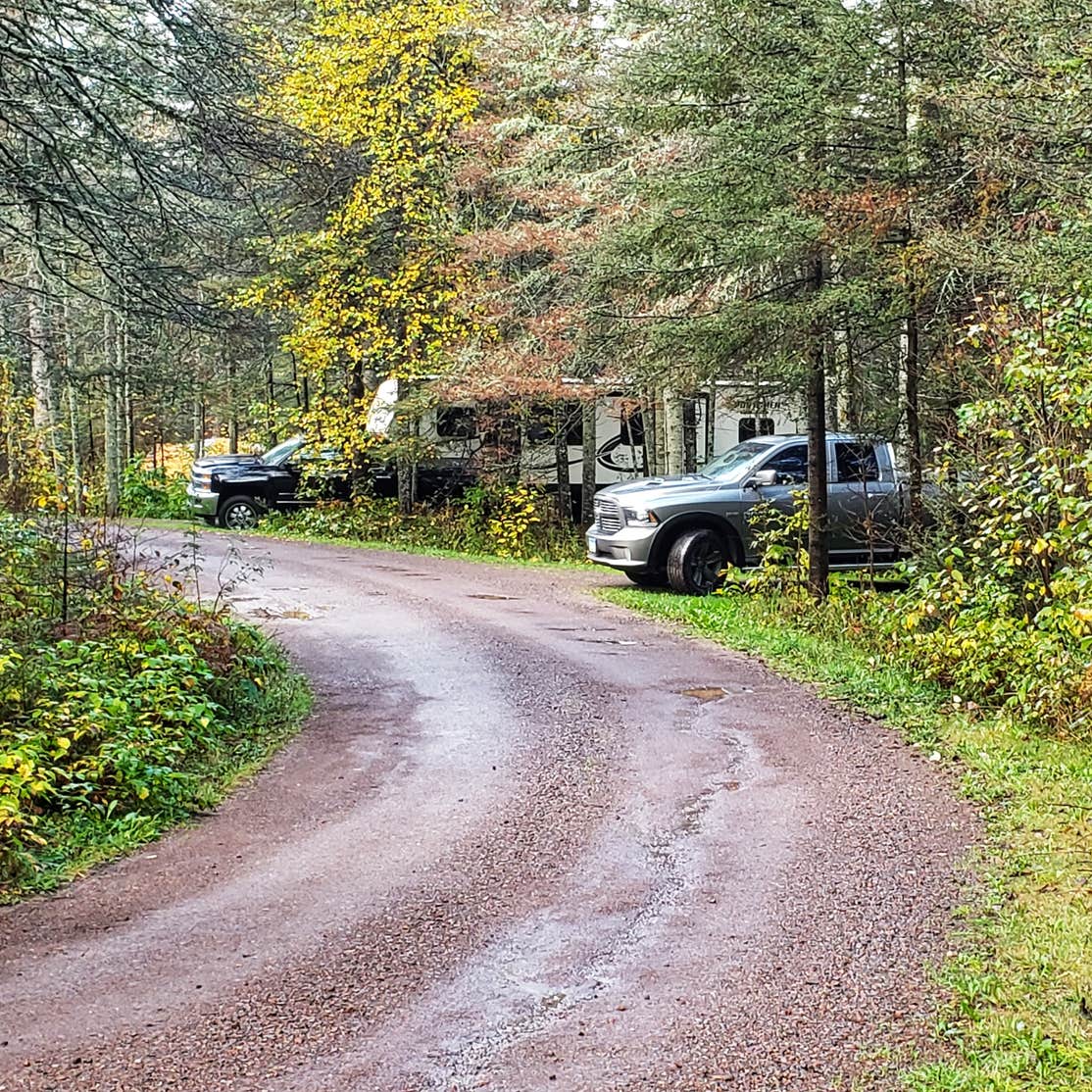 Finland State Forest Campground | Finland, Minnesota