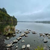 Review photo of Primitive Camping Area — Bald Eagle State Park by Stuart E., October 9, 2021