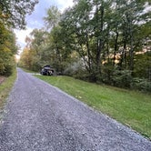 Review photo of Primitive Camping Area — Bald Eagle State Park by Stuart E., October 9, 2021