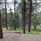 Review photo of Potato Patch Campground by robert M., October 9, 2021