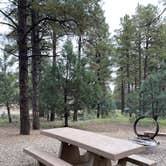 Review photo of Potato Patch Campground by robert M., October 9, 2021