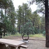 Review photo of Potato Patch Campground by robert M., October 9, 2021