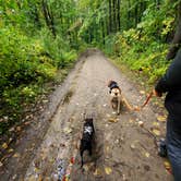 Review photo of Proud Lake Recreation Area by Holly G., October 9, 2021