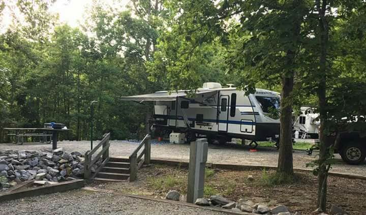 Camper submitted image from Longwood Park - 5