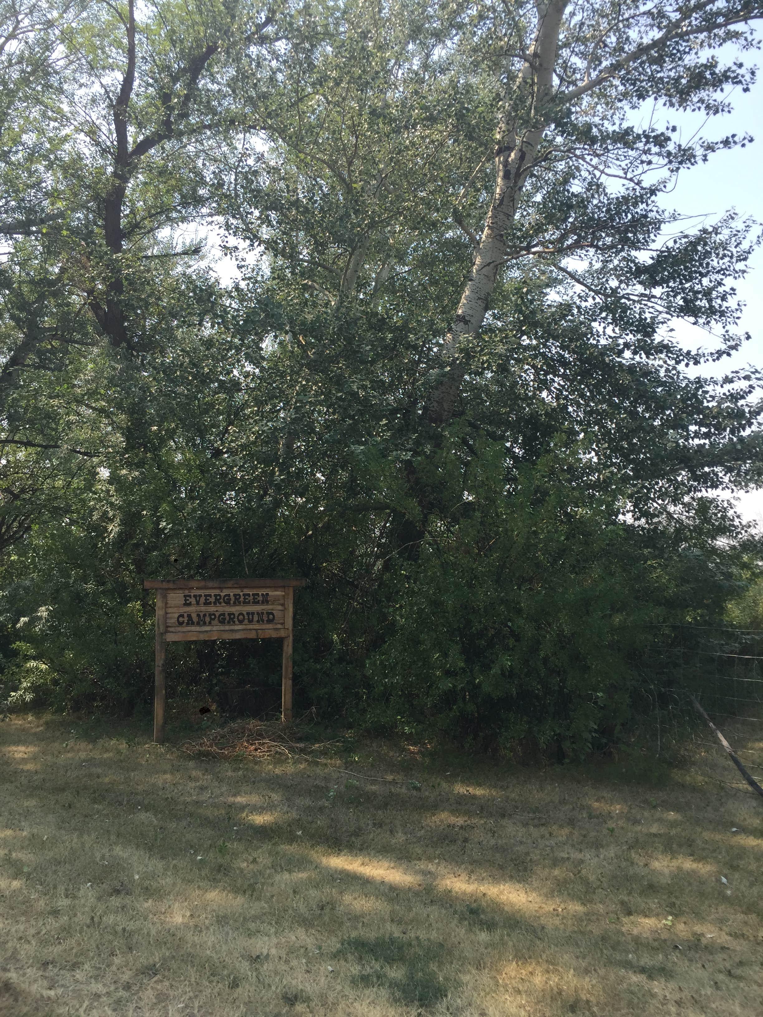 Camper-submitted photo at Evergreen Campground near Box Elder, MT