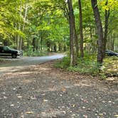 Review photo of Dunewood Campground — Indiana Dunes National Park by Grayson , October 8, 2021