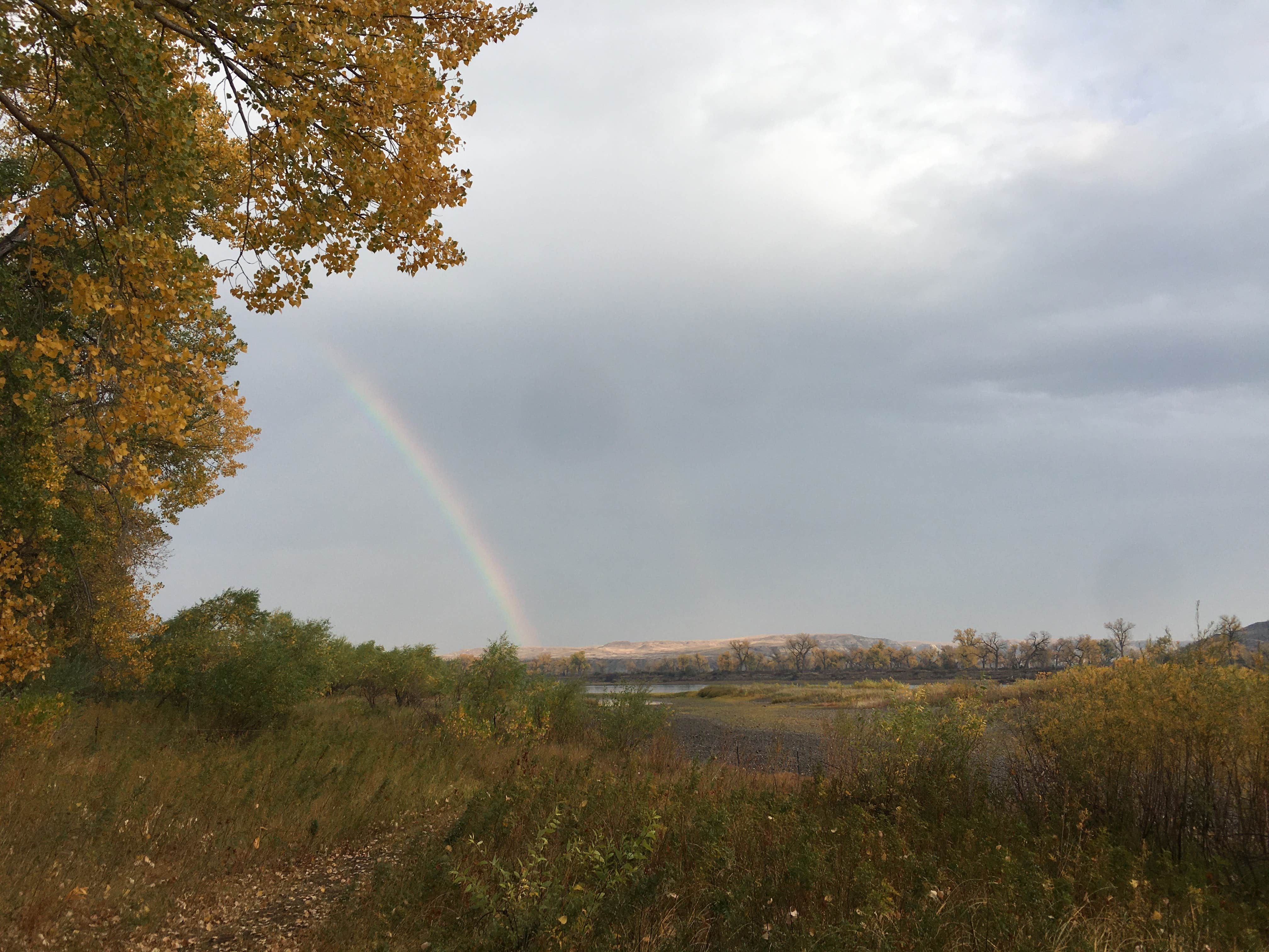 Camper-submitted photo at Intake Dam near Glendive, MT