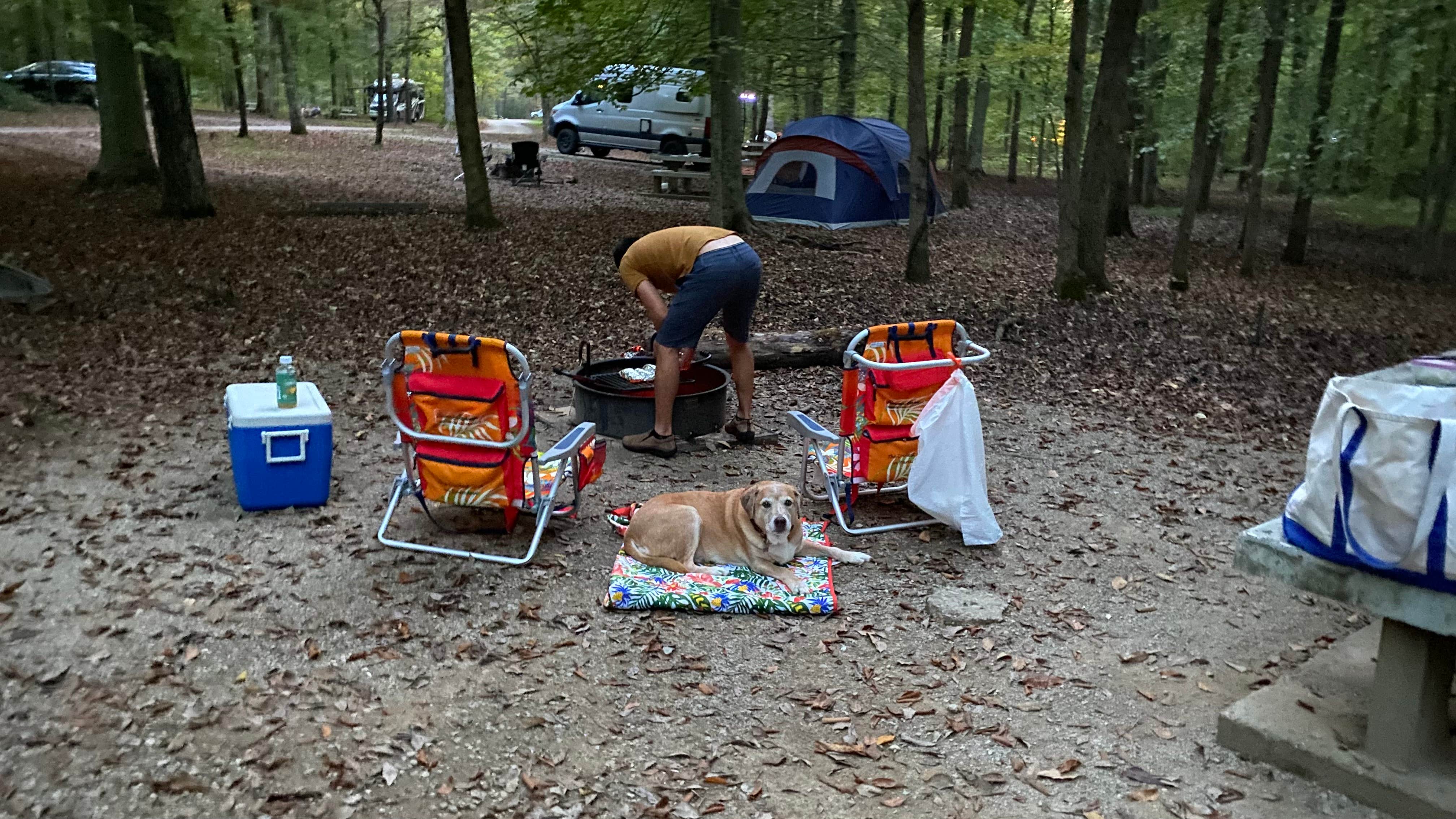 Julianne T.'s photo of camping with pets at Mammoth Cave Campground — Mammoth Cave National Park near Mammoth Cave National Park