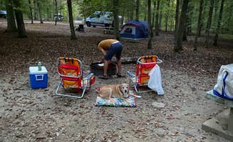 Julianne T.'s photo of camping with pets at Mammoth Cave Campground — Mammoth Cave National Park near Rough River Lake