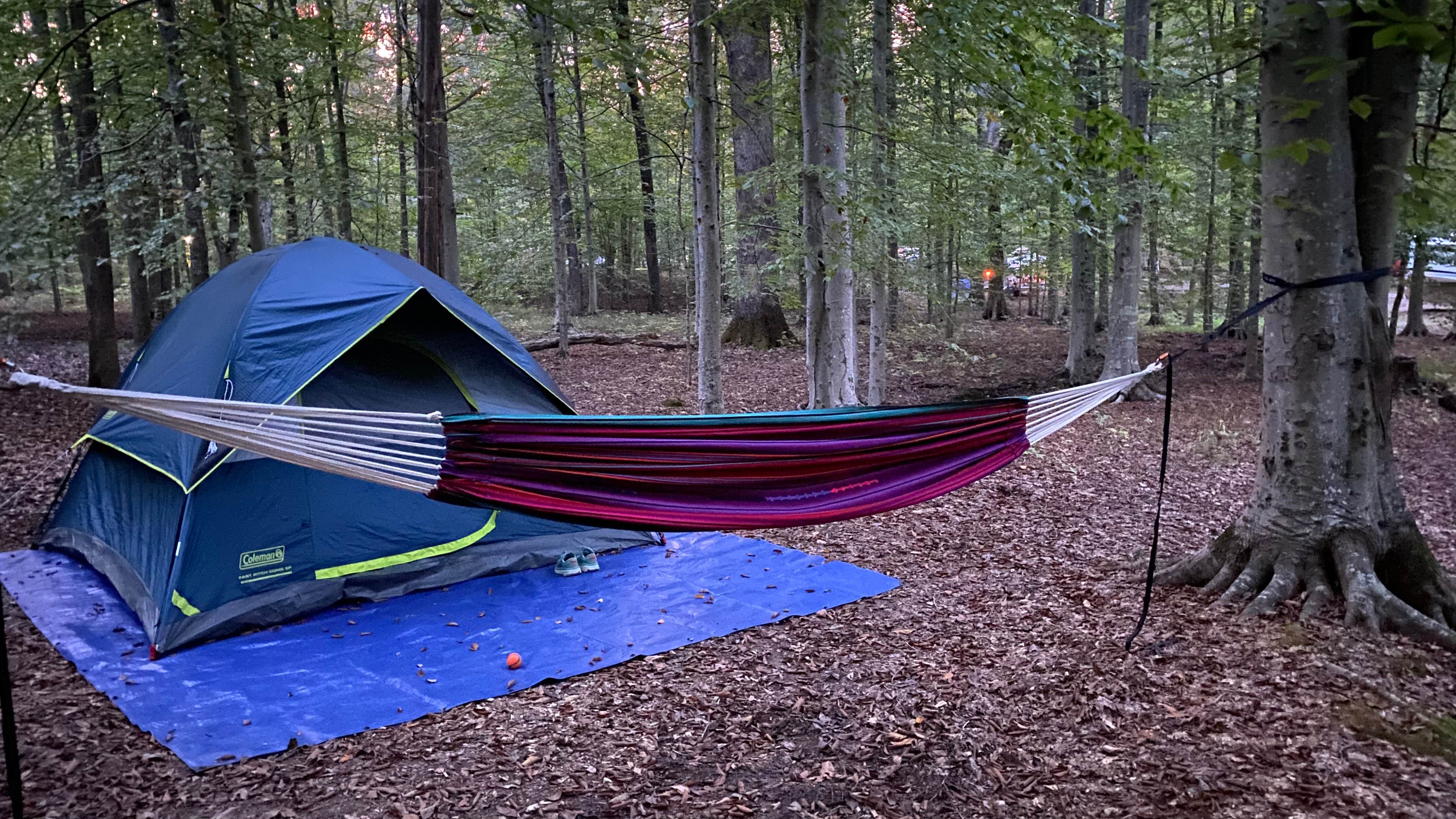 Julianne T.'s photo at Mammoth Cave Campground — Mammoth Cave National Park near Mammoth Cave National Park