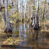 Review photo of Seven Mile Camp on the Florida Trail by Alex M., July 3, 2018