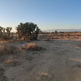 Review photo of Joshua Tree Ranch Los Angeles by Manning P., October 10, 2021