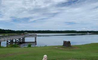 Michael F.'s photo of camping with pets at Reed Bingham State Park Campground near Doerun, GA
