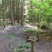 Review photo of Quechee State Park Campground by David L., October 10, 2021