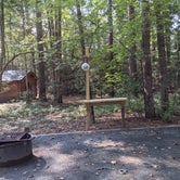 Review photo of Pocomoke River State Park Campground by Jennifer O., October 10, 2021