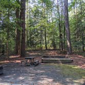 Review photo of Pocomoke River State Park Campground by Jennifer O., October 10, 2021