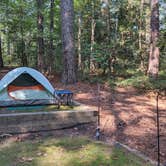 Review photo of Pocomoke River State Park Campground by Jennifer O., October 10, 2021