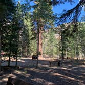 Review photo of Aspen Campground by preston , October 10, 2021