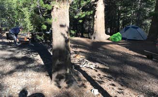 preston's photo at Upper Deadman Creek near June Lake, CA