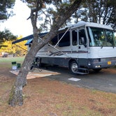 Review photo of South Beach State Park Campground by David M., October 10, 2021