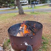 Review photo of South Beach State Park Campground by David M., October 10, 2021