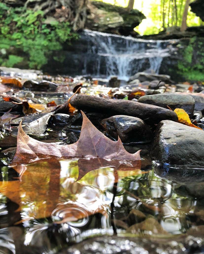 Camper-submitted photo at Slumber Valley Campground near Tunkhannock, PA