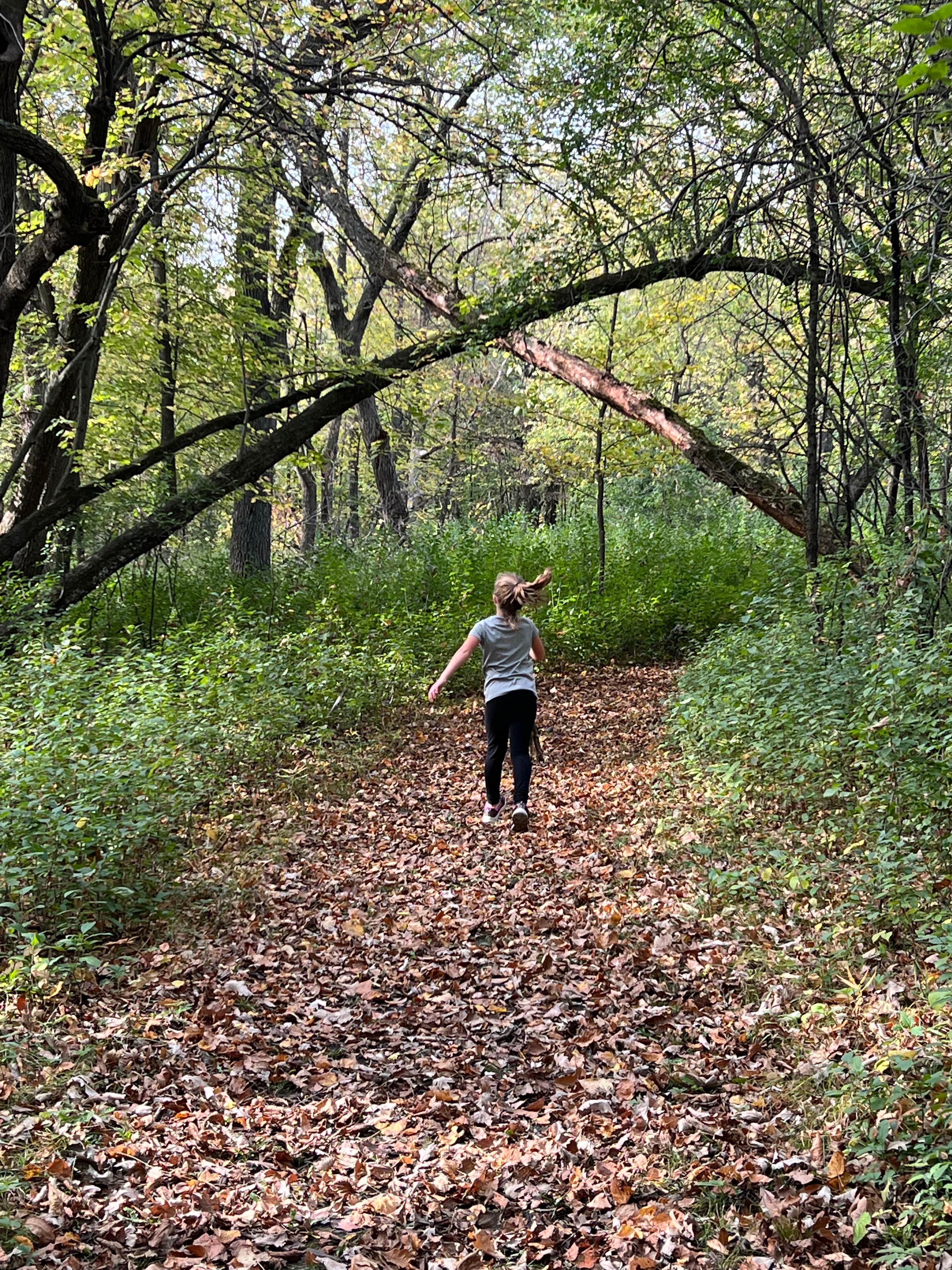 Camper submitted image from Monson Lake State Park - 5